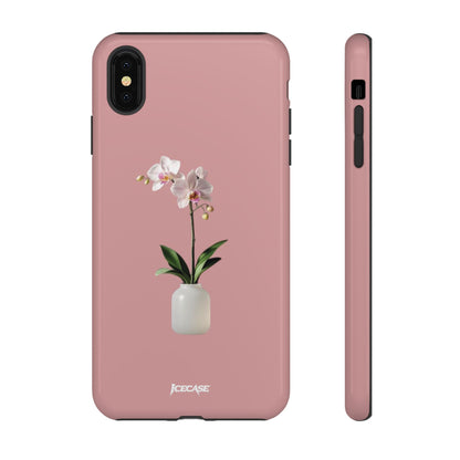 PASTEL ORCHID