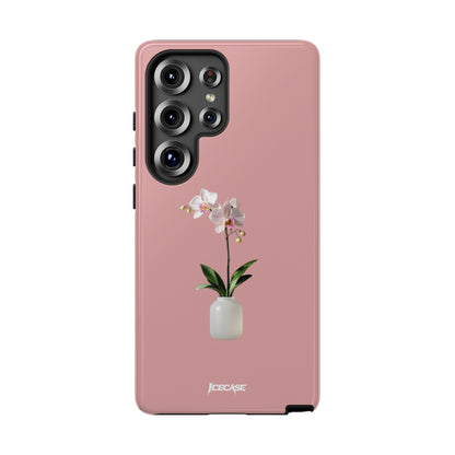 PASTEL ORCHID
