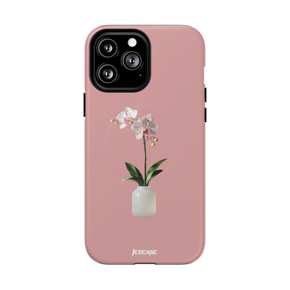 PASTEL ORCHID