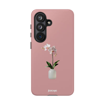 PASTEL ORCHID