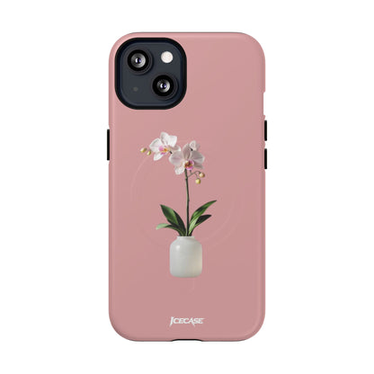 PASTEL ORCHID