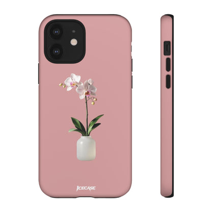 PASTEL ORCHID