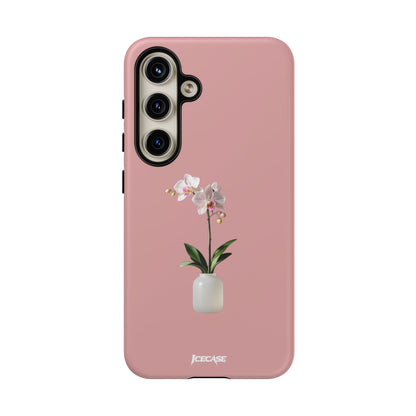 PASTEL ORCHID