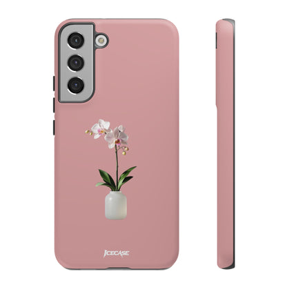PASTEL ORCHID