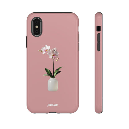 PASTEL ORCHID