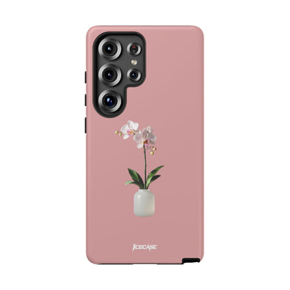PASTEL ORCHID