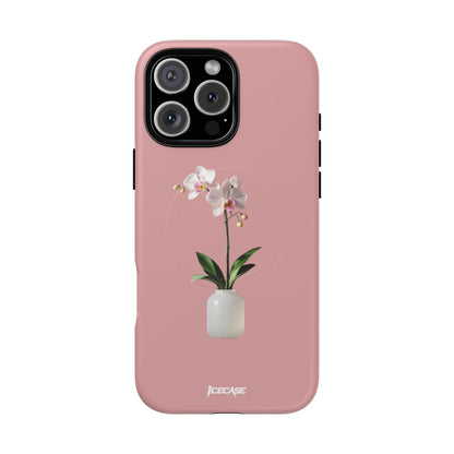 PASTEL ORCHID