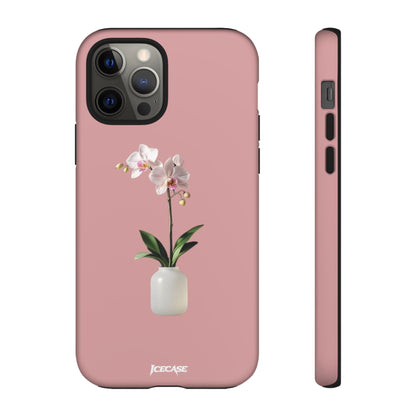 PASTEL ORCHID
