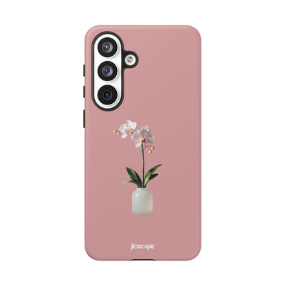 PASTEL ORCHID