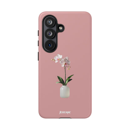 PASTEL ORCHID