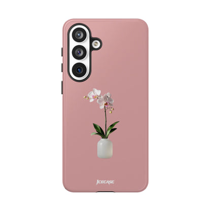 PASTEL ORCHID