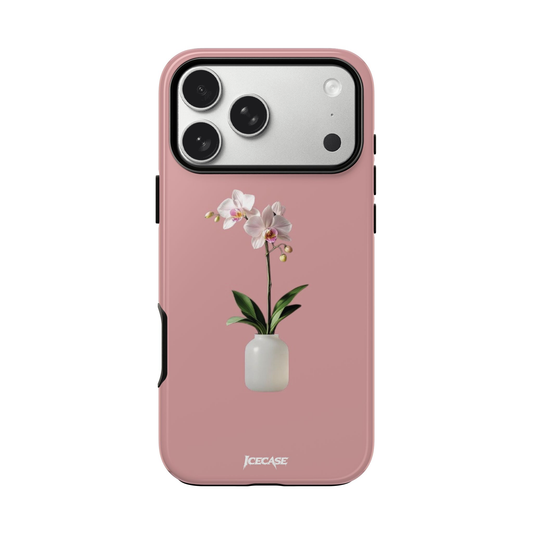 PASTEL ORCHID
